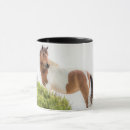 Search for chincoteague mugs Pony