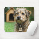 Search for adopting mouse mats Adoption