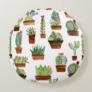 Search for succulent cushions Arizona