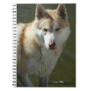 Search for animal binders Back to school