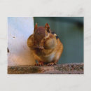 Search for cheeky postcards Animals