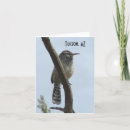 Search for wren bird cards Wildlife