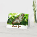 Search for jasmin cards Nature