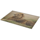 Search for cat cookware Panthera leo