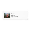 Search for fawns return address labels Nature