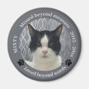 Search for missing magnets Quote