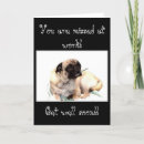 Search for work pet supplies Sympathy