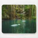 Search for yucatan mouse mats Mexico