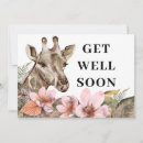 Search for giraffe get well cards Jungle