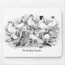 Search for pigeon mouse mats Animal