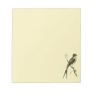 Search for bird notepads Illustration
