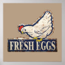 Search for fresh posters Chicken