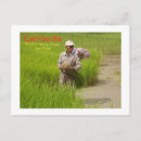 Search for seedlings postcards People