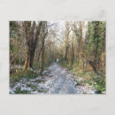 Search for forest path postcards Snow