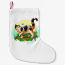 Search for kitten christmas stockings Flowers