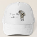 Search for poodle hats Puppies