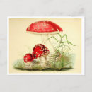 Search for red mushrooms postcards Botanical