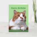 Search for orange cat birthday cards Kitty