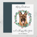Search for shepherd christmas cards Pet
