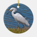 Search for egret christmas tree decorations Nature