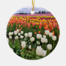Search for tulip tree Farm