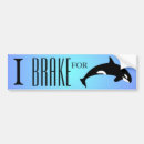 Search for killer whale bumper stickers Dolphin