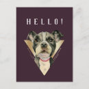 Search for pitbuls postcards Pitbull