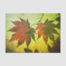 Search for maple leaf tissue paper Red