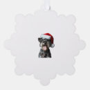 Search for miniature schnauzer christmas cards Animal