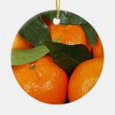 Search for orange fruit christmas tree decorations Florida