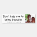 Search for beautiful bumper stickers Funny