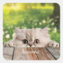 Search for persian cat stickers Animal