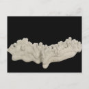 Search for natural science postcards Cutout