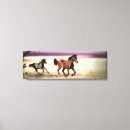 Search for pinto art Mare