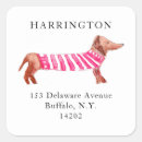 Search for dog owner return address labels Dachshund