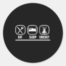 Search for cricket bats stickers Run chase