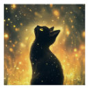 Search for firefly posters Night