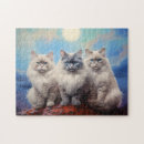 Search for ragdoll cats puzzles Kitten