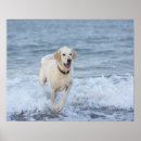 Search for vitality posters Full length