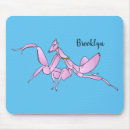 Search for mantids mouse mats Insect