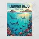 Search for komodo postcards Indonesia