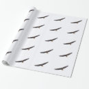 Search for eagles wrapping paper Bald eagle