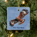Search for red bird christmas tree decorations Nature