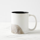 Search for angle mugs One animal