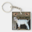 Search for dairy key rings Animal