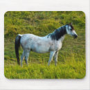 Search for colourful horse electronics Brown