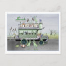 Search for froggie postcards Frogs