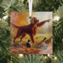 Search for irish setter christmas tree decorations Hunting dog