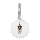 Search for patch pet supplies Dogs