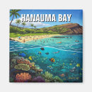 Search for hanauma magnets Hawaii